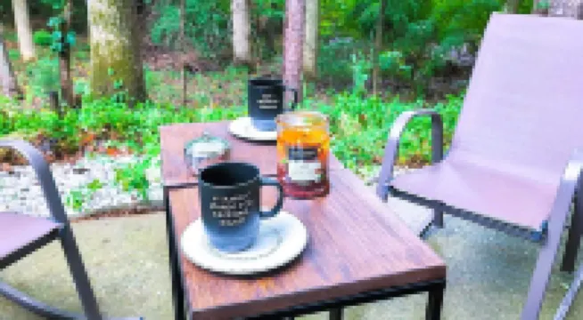 Cozy 2Br Retreat • Near Lake Lanier & Mall of GA • Private, Peaceful, Festive