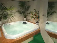 Hotel le Festival - spa