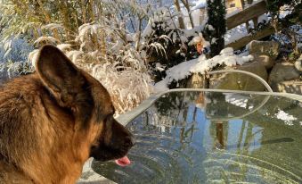 Pia's Nature Retreat