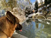 Pia's Nature Retreat Hotels in Neukirch