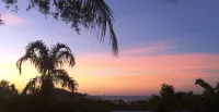 The Sanctuary Retreat - Homestays