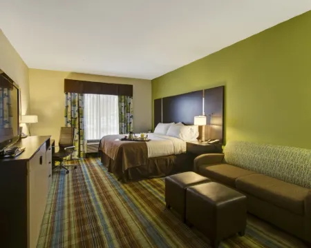 Holiday Inn 克里斯琴斯堡布萊克斯堡 克里斯琴斯堡酒店