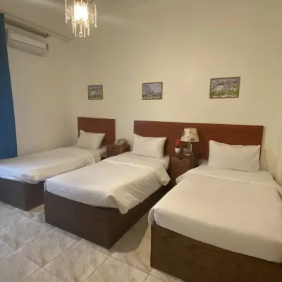 New Park Hotel Hoteles cerca de Darat al-Funun