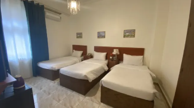 New Park Hotel Hotels near Darat al-Funun
