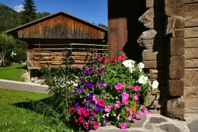 Albergo Diffuso Sauris di Sotto Hotel in zona Fantasy Park Forni di Sopra