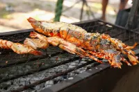 Mzima Beach Residences - Diani Beach Hotel a Galu