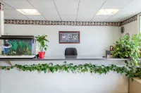 エコノ ロッジ ベルフォンテ I-99