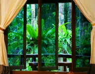 Khao Sok Riverside Cottages - Mountain view
