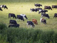 Magpies Lodge Hotels in Horsham