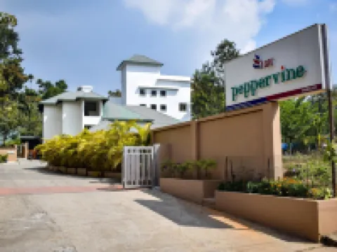 Peppervine Hotel Hotels in Kumily