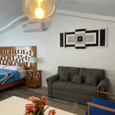 Suites Hotels near Tortuga Bay Beach