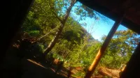 Ella Walkers Nest - Scenic