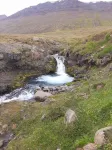 Brúnir