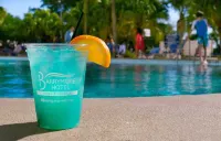 The Barrymore Hotel Tampa Riverwalk - Rooftop Pools