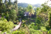 Sairee View Resort Hotels in Taa Then Bay / Cape Yaay Nee