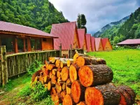 Kotit Ayder Bungalov & Restaurant Hotels in Guroluk Koyu