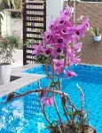 Riverlife Homestay Hotels in Duy Phuoc