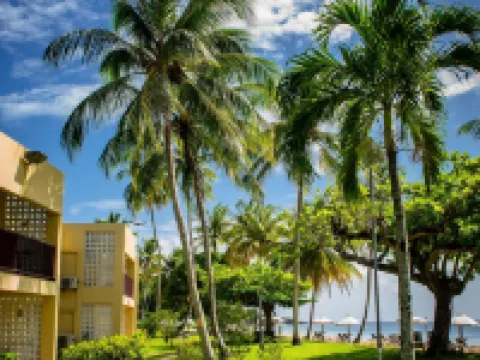 Starfish Tobago Hotels in Tobago