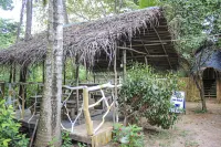 Seasons Four Mini Jungle Cabana Hotels near Department of Sociology