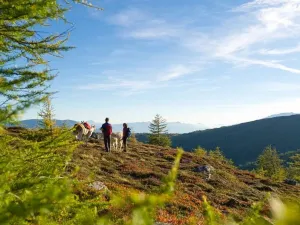 카치베르크 로지