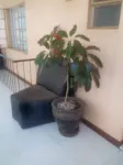 Spoon Zoom Malazi Hotel Hotels near Maisha Heights