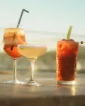 Hotel Estepona Plaza - bar