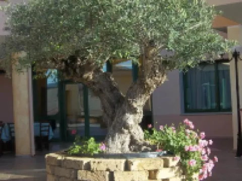 โรงแรมบายามารีน่า โรงแรมในOrosei