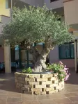 Hotel Baia Marina Hotels in Orosei