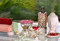 Indana Palace Jaipur - spa