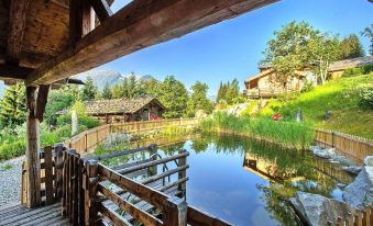 Chalet in Neukirchen for 4 People