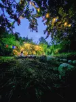 PREMALYA TRAILS By Tirtha