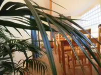 Casa Belos Ares - Wifi
