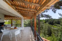 Platres Forest Panorama