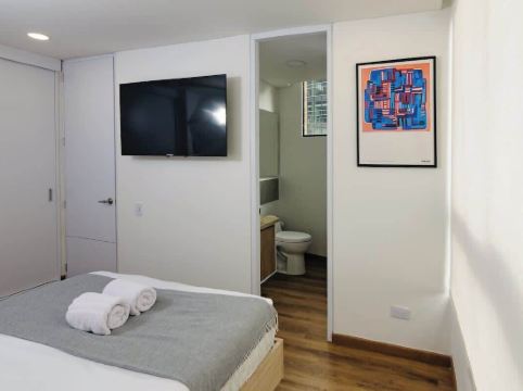 Perfect 1 BR in Centro Historico