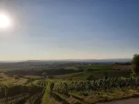 -Private vacation apartment- 110m² in Sprendlingen, Rheinhessen for rent