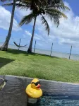 W Panoramic Ocean front with access/Infinity Pool