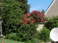 Comfortable house in a quiet location near Meissen Hotel in zona Klosterpark Altzella