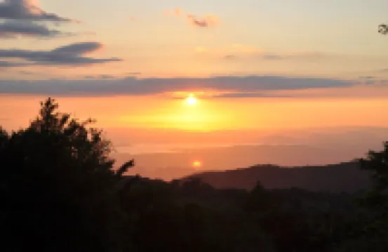 Bright Forest Retreat – 2BR w/ Balcony, Walk to Town, Birds & Wildlife