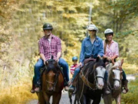 Luxe 10 guest Ski Chalet /Skiing/Pools/Tennis/Gym/Golf/Hiking