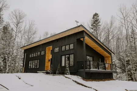 Scandinavian Cozy Cabin in the Woods