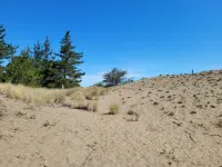Sandy Clove Cottage creates a private getaway with nature in Fortt Bragg.