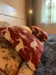 Vacation apartments with private sauna near the ski lifts in St. Oswald