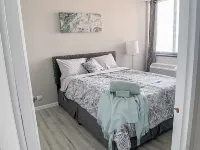 Stylish 2 BR walkout Apartment in DT