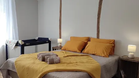 Le P'tit Louis XII - Appartement Hyper Centre de Blois