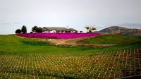 Beautiful Gated Community Where You Can Go Fishing, Walking, Running & Bicycling Hotels in Menifee