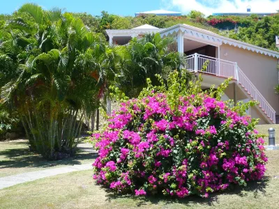 Studio Cannelle - n° 733 Anse des Rochers - Guadeloupe Hotels in 