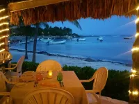 Amazing View Oceanfront with 2 pools, Daily Housekeeping Hotels in Akumal