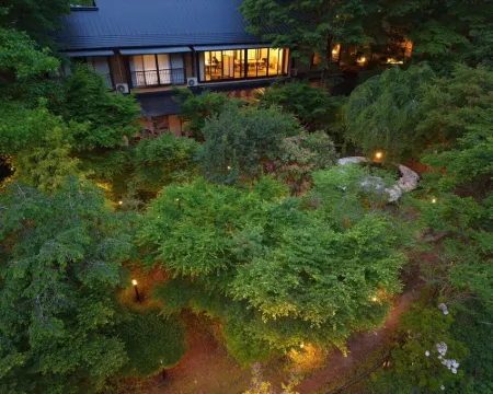 山川温泉 小杉庵 小国町のホテル