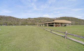 Hike and Fish Marlinton Cabin with Fire Pit and Views!