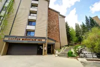 Amazing Ski-in Ski-Out Condo, Pet Friendly - Very Spacious - cm236